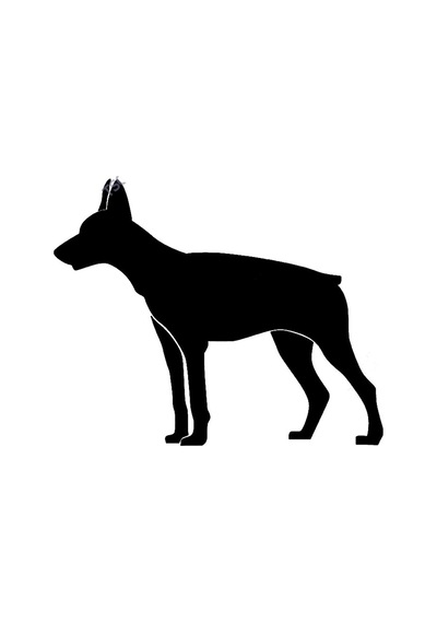 Köpek Sticker 17Cm