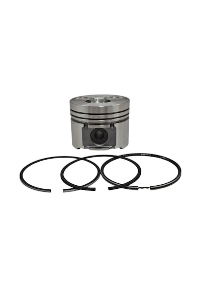Piston + Segman Seti Std : Hatz / 1d41