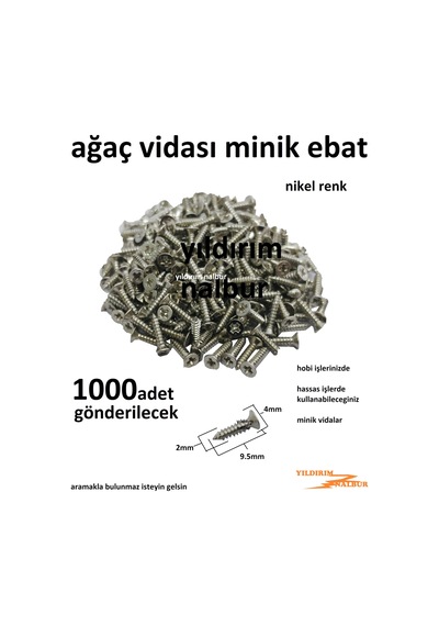 Ağaç Vidası Nikel Renk Hobi Vidası 1000 Adet Minik Kutu Vidası