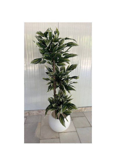 Yapay Ceviz Ağacı - 3 Gövdeli Beyaz Ve Yeşil Yapraklı Küre Saksı 170 Cm