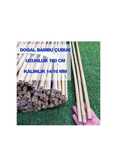 Bambu Bitki Destek Çubuğu 180 Cm, 5 Adet, Sağlam Ve Dayanıklı Bah