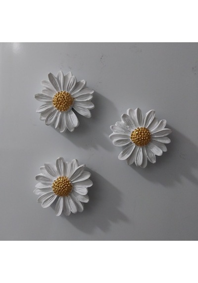 Bernami Biblo Pinterest Papatya Set Magnet 6 Lı Buzdolabı Süsü Hediyelik Eşya Dekoratif Aksesuar