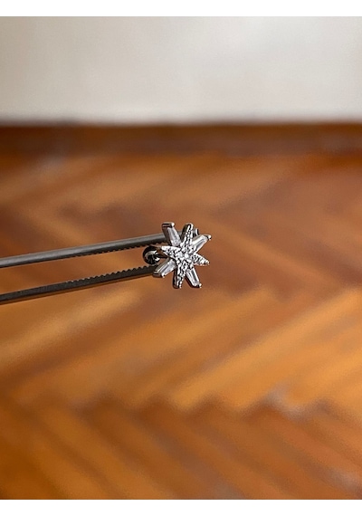 316 L Cerrahi Çelik Dudak Piercing Kıkırdak Helix Tragus Conch Zirkon Taşlı Figürlü Piercing Antra Melanj