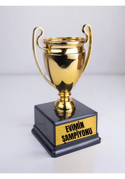 Evimin Şampiyonu Hediyelik - Esprili Hediyeler, Eski Sevgiliye Hediye, Erkeğe Manevi Hediye