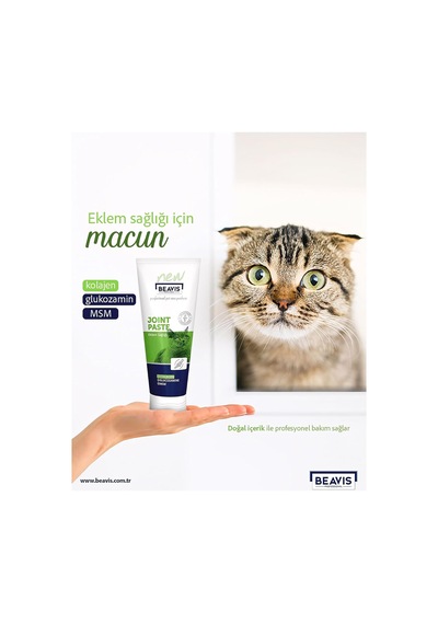 Kolajen Ve Glukozamin İçeren Eklem Sağlığı Destekleyici Kedi Macunu 85 Ml
