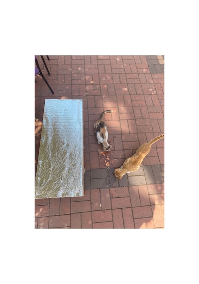 Kedi Yuvası Kedi Evi Kediyatağı 3 Bölmeli 90x35x37 Cm Ayaklı