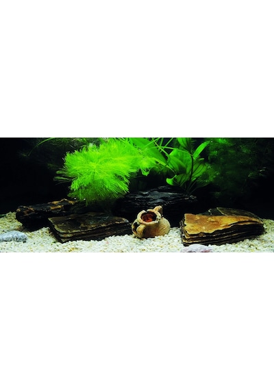 Kanki Pet Kp1556533 Akvaryum Arka Fon Yapıştırma 155 X 65 Cm
