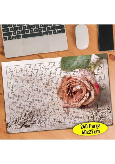 Taş Kaldırımda Zarif Pembe Gül 240 Parça Puzzle Yapboz-110435203