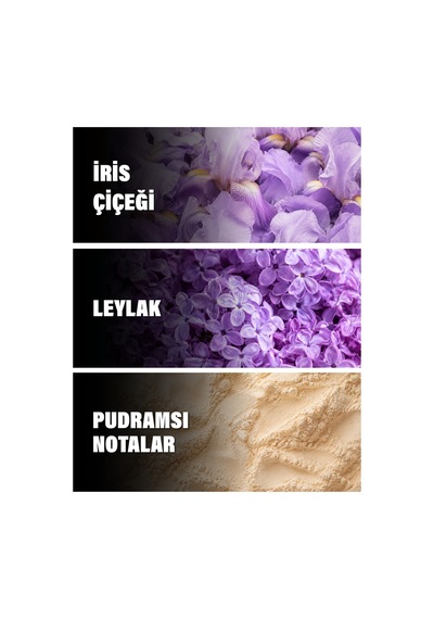Love 50 Ml Kadın Parfüm Çiçeksi