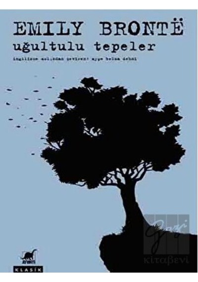 Uğultulu Tepeler - Emily Bronte - Ayrıntı Yayınları