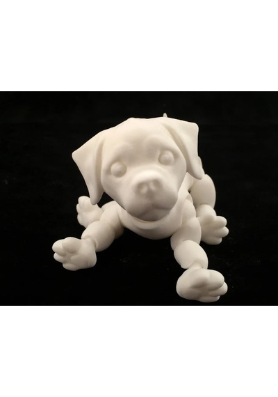 3d Eklemli Yavru Köpek