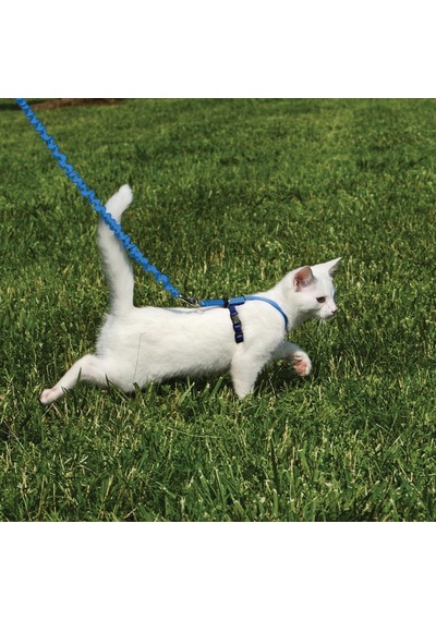 Petsafe Easy Walk Cat Harness Kedi Gezinti Tasması Mavi Medium 27-36 Cm