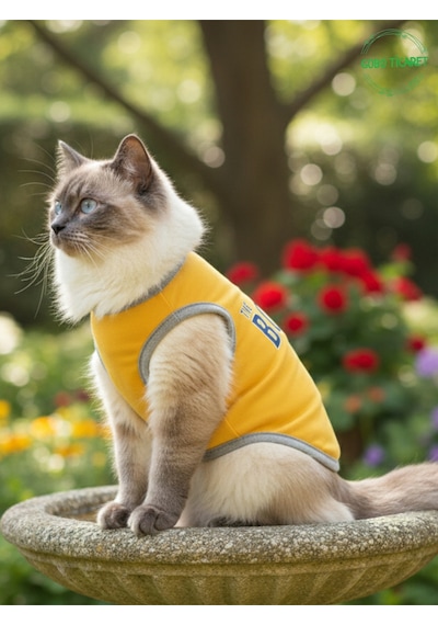 Sarı The Boss Patron Yazılı Kedi Ve Köpek Kıyafeti Tişörtü Elbisesi Medium/m/beden 2