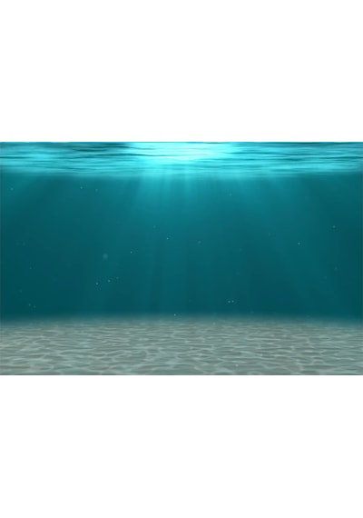 Kanki Pet KP7045006 Akvaryum Arka Fon Yapıştırma 70 CM
