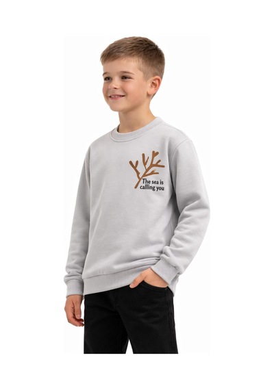Baglan Erkek Çocuk Önü Baskılı Sweatshirt Bgl-st05238 Gri