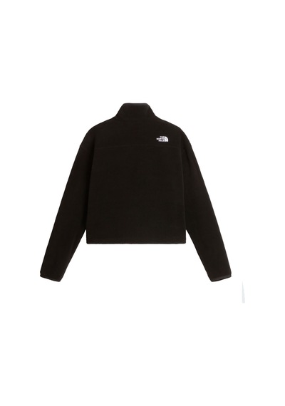 The North Face W Novelty Logo Glacıer 1/4 Zıp Kadın Ceket Nf0a8j3zjk31 Siyah