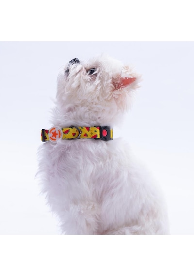 Watermelon Karpuz Desenli Köpek Boyun Tasması Ayarlanabilir Köpek Tasması M Sarı