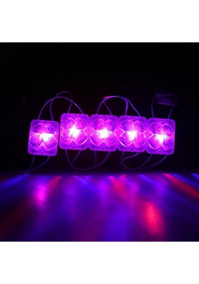 Sh Powermaster Pm-14717 12 Volt 2 Watt Karışık R+b Yanıp Sönen Çakar 4333-3030 Modül Led 43x33x28mm Najmaddin Diğer