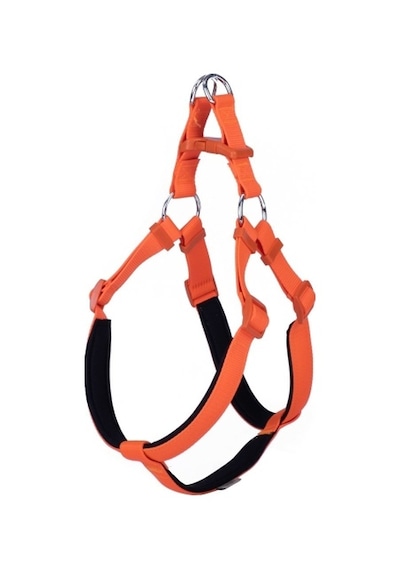 Doggie Konfor Ronin Dokuma Göğüs Tasması Turuncu 2.5 x 65-75 CM Turuncu