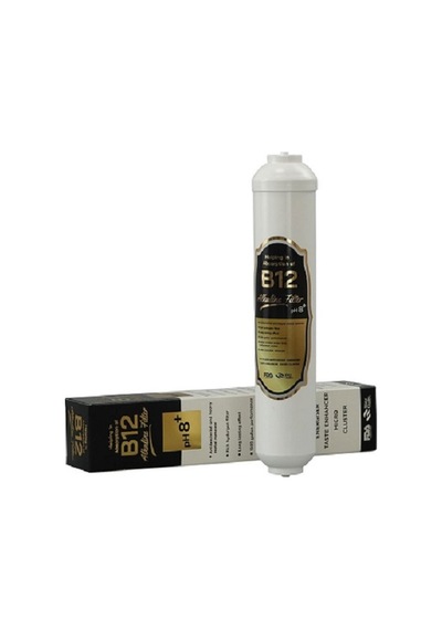 2" B12 Alkalin Filtre Su Arıtma Ph8+