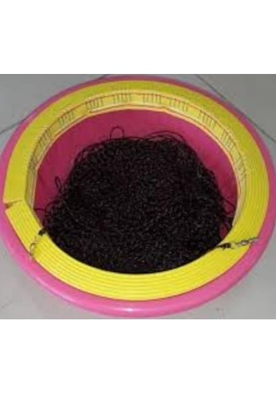 Abalone Hazır Paragat