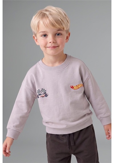 Defacto Hot Wheels Lisanslı Baskılı Bisiklet Yaka Basic Sweatshirt Ve Jogger Eşofman Altı 2li Takım Erkek Bebek I0151a526wngr91 Gri-gr91