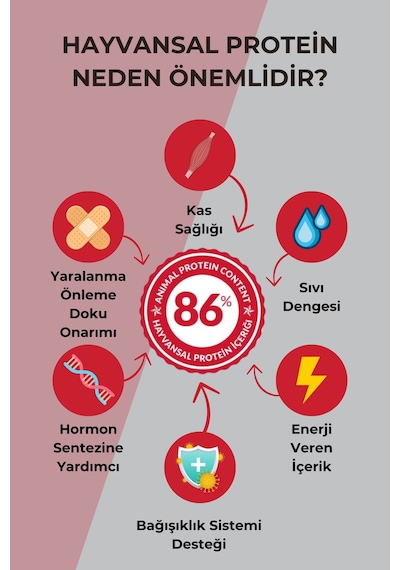 Petline Sport Yüksek Enerjili Kuzu Etli Yetişkin Kuru Köpek Maması 2 x 12 KG