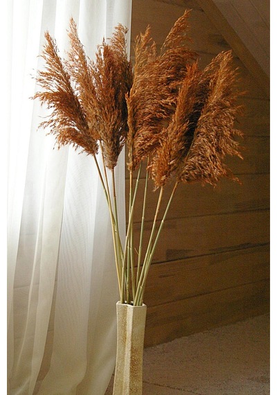 Büyük Demet Pampas Turuncu 100 Cm 8'li