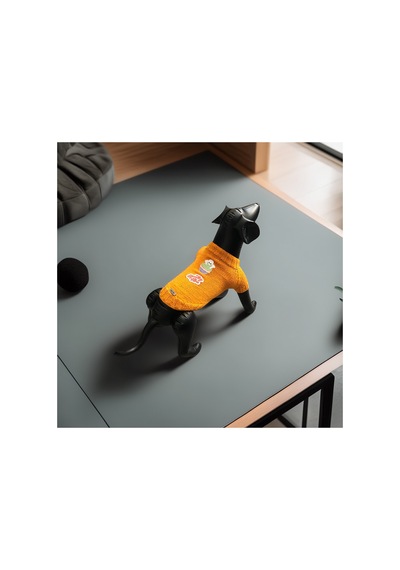 Kedi Ve Köpek İçin Turuncu Cadılar Bayramı Kazağı