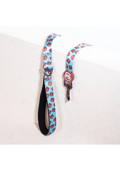 Bears Leash Kedi Köpek Sevk & Gezdirme Kayışı Köpek Uzatma Tasması-1,5cm Turkuaz