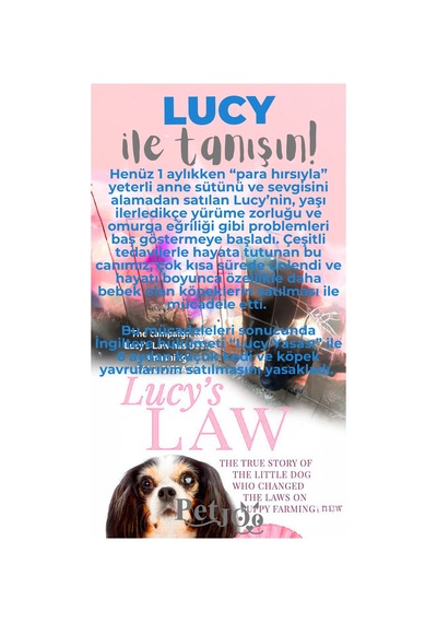 Petjoo 11.Lucy Gri-Mavi Qr'lı Köpek Künyesi