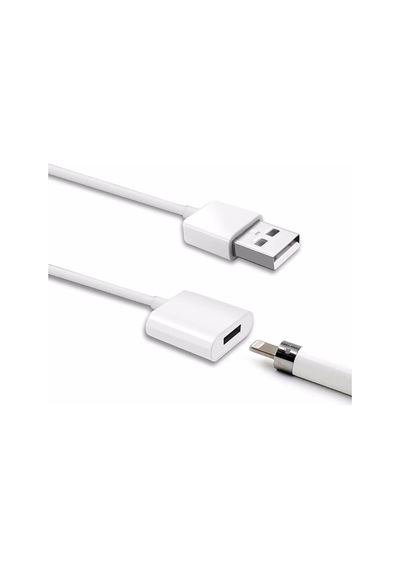 Ally Apple Pencil/kalem İçin Usb Şarj Kablosu 1 Metre- 5775