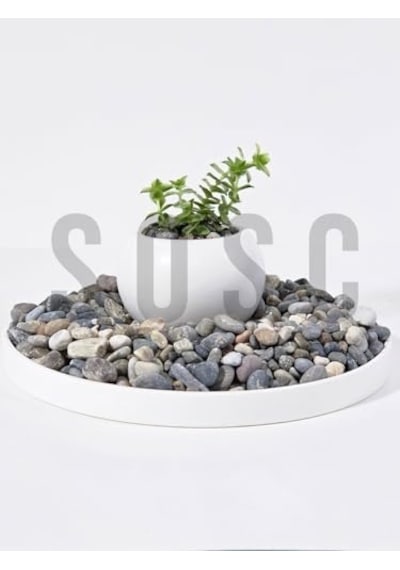 Doğal Nazilli Dere Çakıl Taşı, Tamburlanmış Dekoratif Taş, 1-2 Cm, 3 Kg, Saksı Dibi, Akvaryum Ve Bahçe Düzenleme İçin