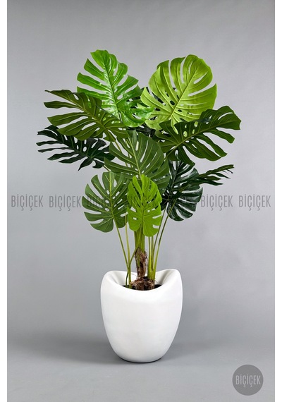 Yapay Monstera Ağacı Deve Tabani 170 Cm Beyaz Lale Saksıda
