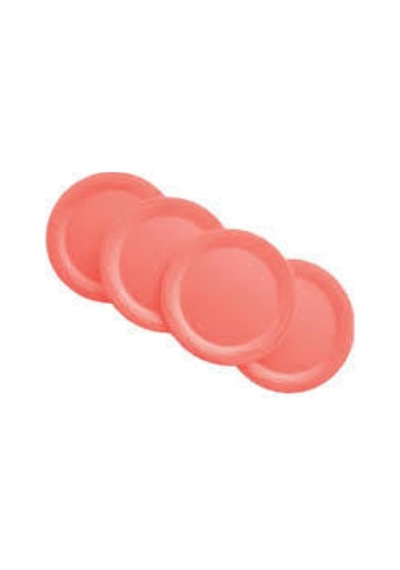 Piknik Tabakları 4'lü Pembe