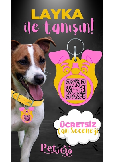 Petjoo 22.Layka Pembe-Sarı Qr'lı Köpek Künyesi