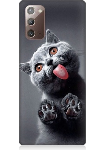 Samsung Galaxy Note 20 Uyumlu Sevimli Boz Kedi Dili Desenli Silikon Kılıf