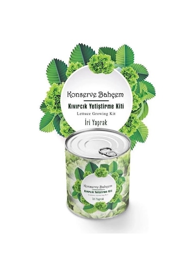 Konserve Bahçem Evde Konservede İri Yapraklı Kıvırcık Yetiştirme Kiti Yeşil