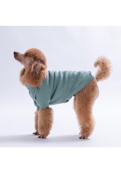 Yeşil Teddywood Ayıcık Nakışlı Esnek Sıcak Tutan Köpek Sweati Köpek Kıyafeti Kedi Kıyafeti