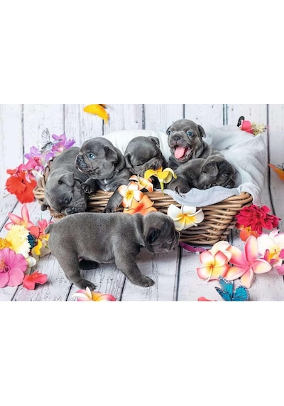 , 2x12p Puzzle Yavru Köpekler, Çocuk Puzzle Standart