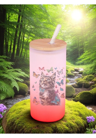 Kelebekli Kedi Baskılı Cam Pipetli Suluk Matara 600 Ml - Su Matarası Su Matara Suluk Kırmızı