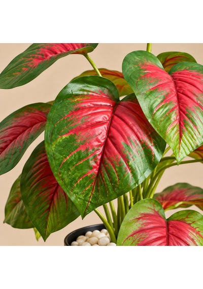 Yapay Islak Doku Caladium Bitkisi 50cm Kırmızı Yeşil Saksılı