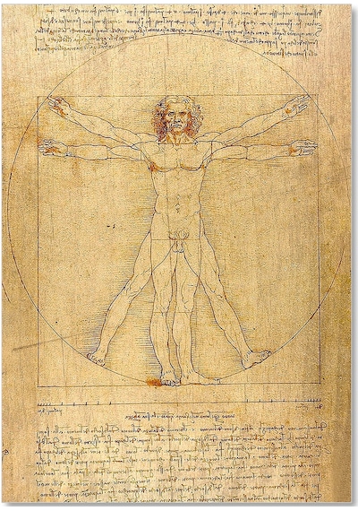 Cakasepetim Leonardo Da Vinci İnsan Anatomisi Görseli Ahşap Mdf Tablo