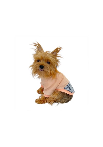 Minnie Pink Sweatshirt Köpek Kıyafeti Köpek Elbisesi