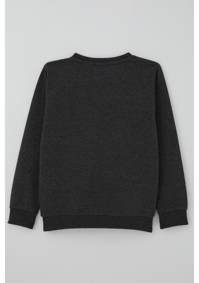 Breeze Erkek Çocuk Sweatshirt Yazı Nakış Baskılı 5-10 Yaş, Koyu Gri Melanj Koyu Gri Melanj Breeze Erkek Çocuk Sweatshirt Yazı Nakış Baskılı 5-10 Yaş, Koyu Gri Melanj Koyu Gri Melanj