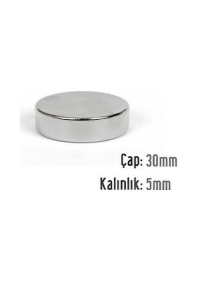 Neodyum Mıknatıs 30x5 Mm 5 Adet