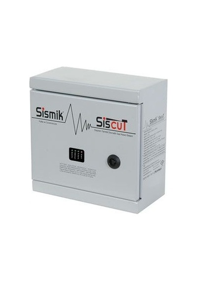 Sismik Siscut Doğalgaz Çıkışlı Deprem Sensörü