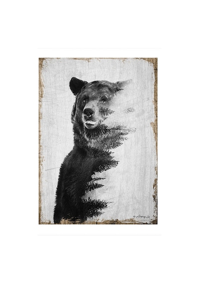 Bedeko Ayı Manipülasyon Tasarım Ahşap Tablo 35 Cm X 50 Cm
