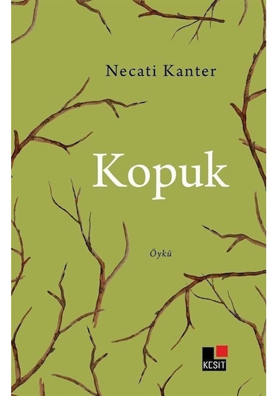 Kopuk - Necati Kanter - Kesit Yayınları