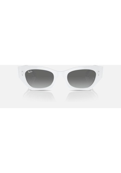 Ray Ban Rb 4430 6759 / 11 49 Unısex Güneş Gözlüğü Çok Renkli